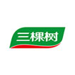 三棵树网站建设