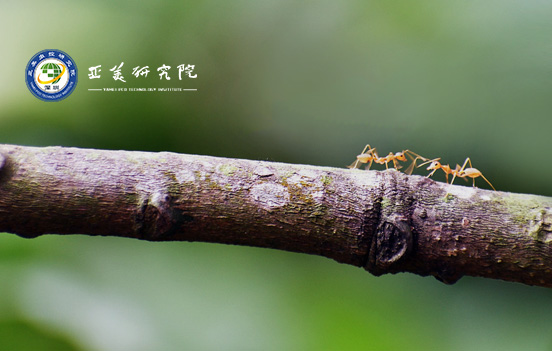 御林军有害生物防治（深圳）有限公司