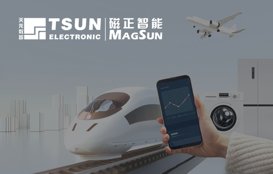 深圳磁正智能科技有限公司