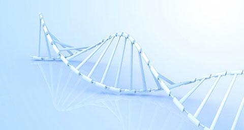 生物医疗网站建设解决方案